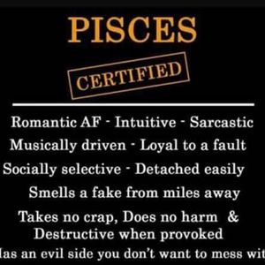 Meet your Posher, Frank